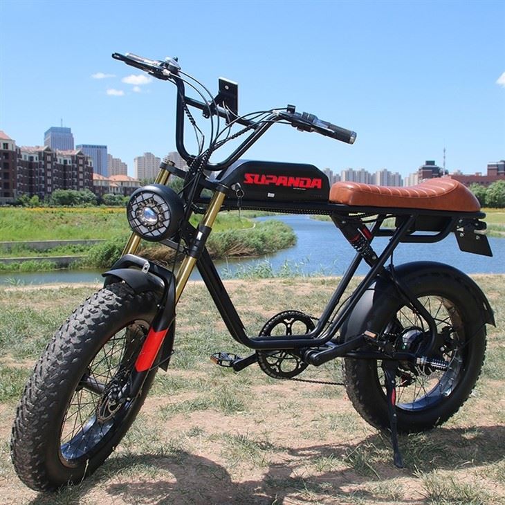 Double Motor Ebike