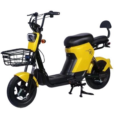 Scooter elétrico da cidade adulto